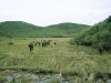Kontum Mike Force Company at Bonson 1969. We had heavy contact in these small hills.