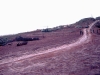 PleiDjereng, A251 RVN 1968