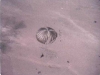 cagcanopy1