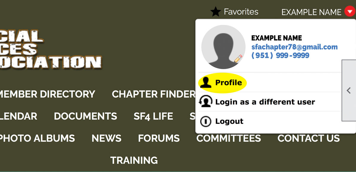Profile-Example