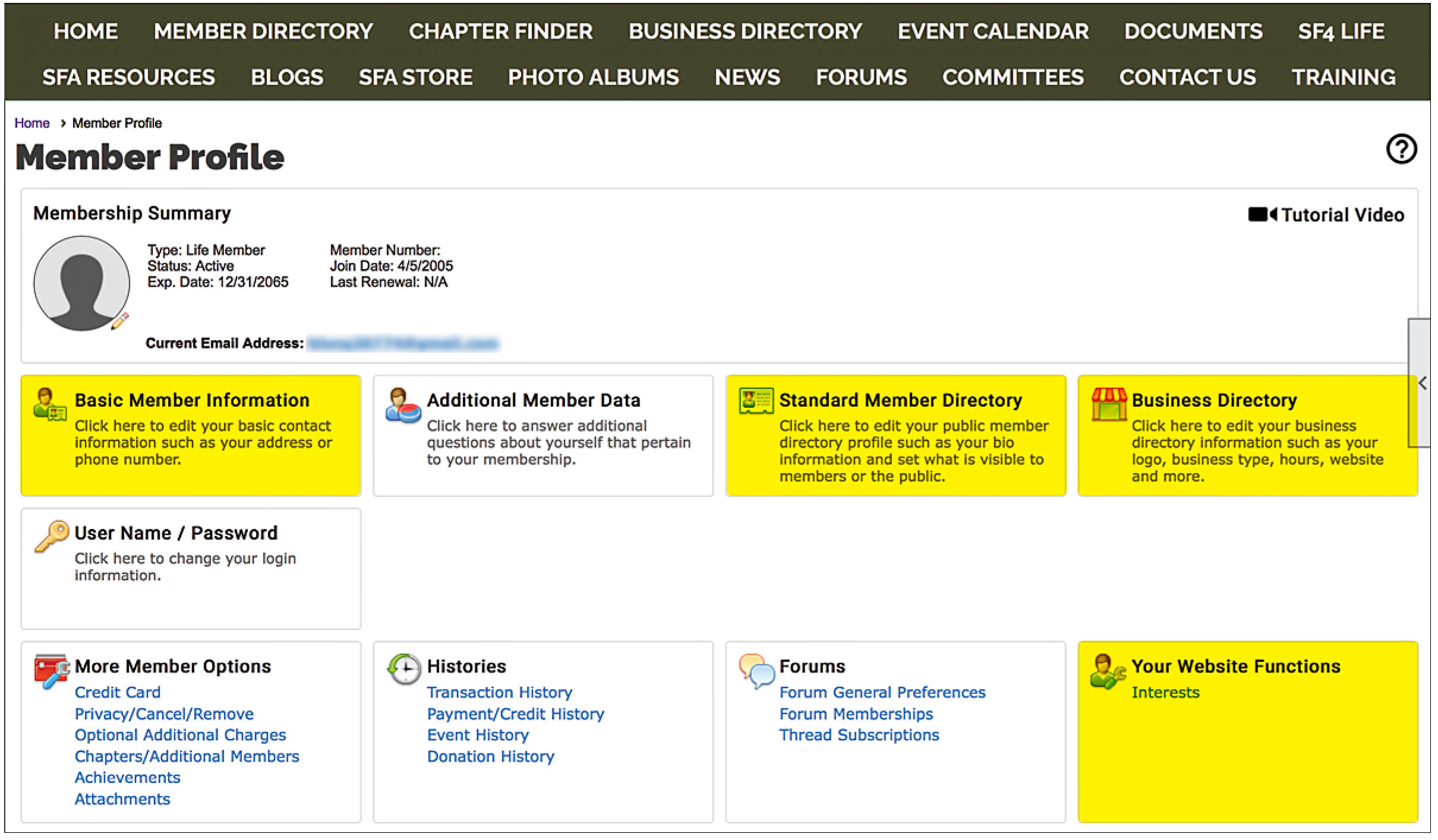 3-Member-profile-dashboard