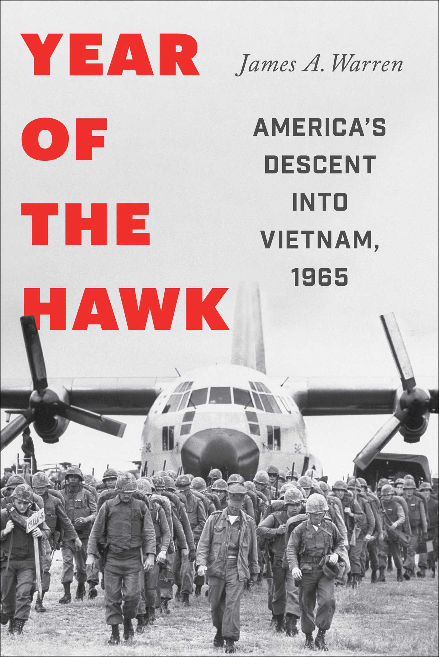 Year of the Hawk book cover