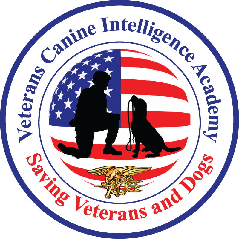 Veterans Canine Intelligence Academy — Saving Veterans and Dogs