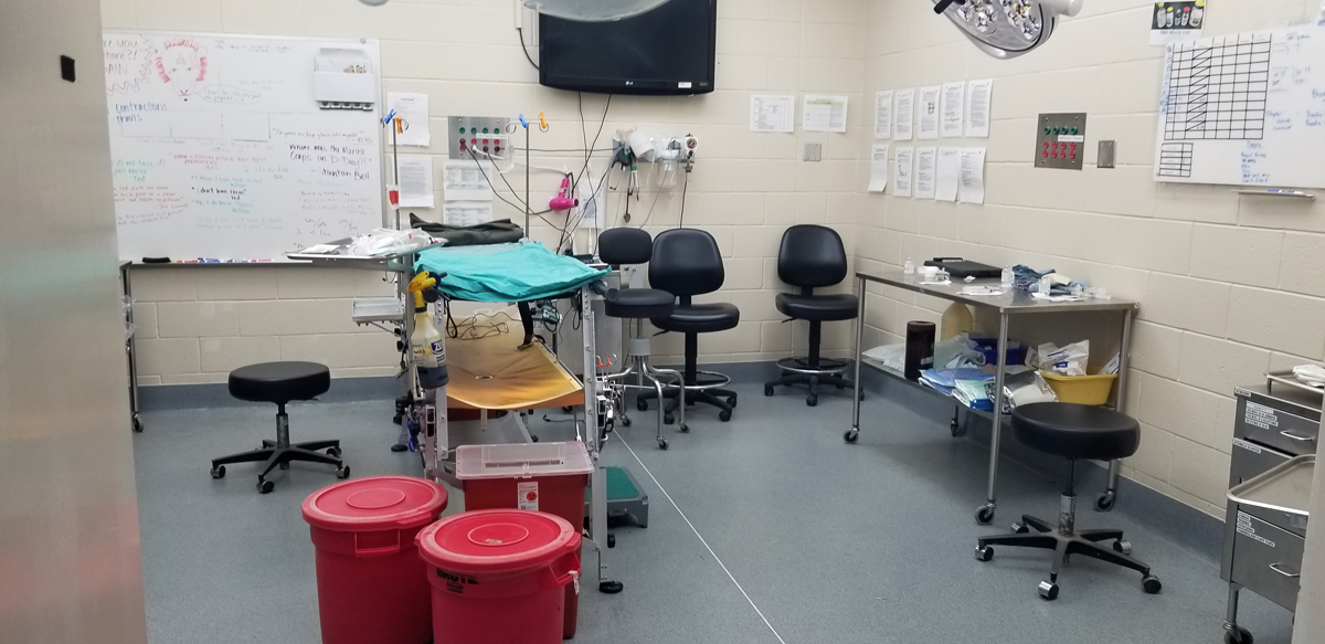 A room in the surgical unit. (How Miller)