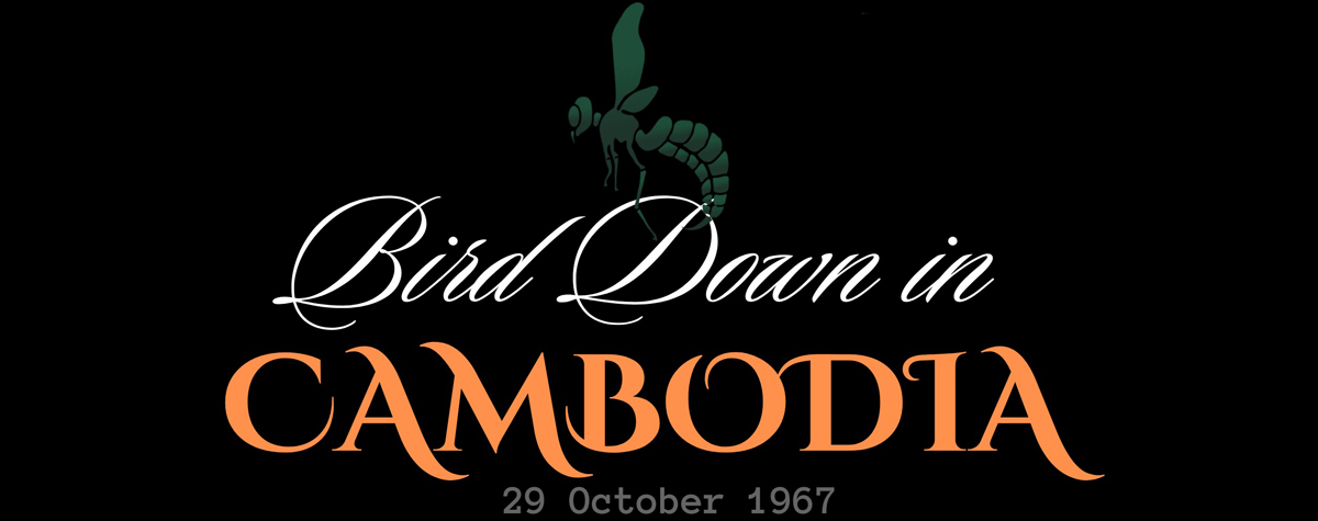 Bird Down in Cambodia—29 October 1967