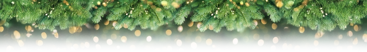 Christmas-Border2-1200px